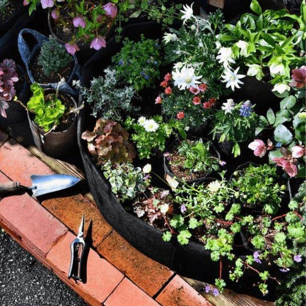 Canteiro Suspenso de Feltro - Jardinagem em Casa