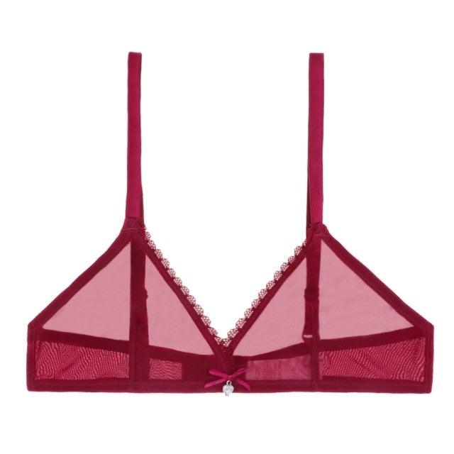 Sutiã Lingerie  Tendência 2022 de Malha Transparente